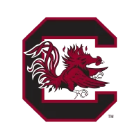 South Carolina Gamecocks